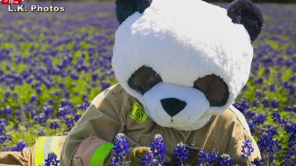 League City Volunteer Fire Department introduces firefighting Panda