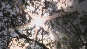 City of Houston activates Public Health Heat Emergency Plan