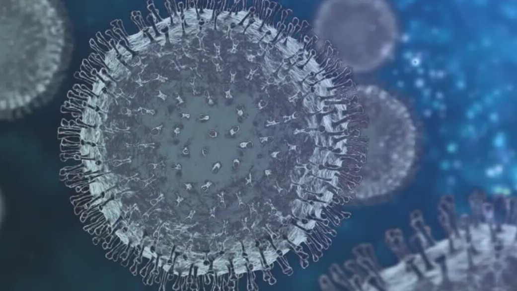 Houston, Harris County hits new milestone of 1 million confirmed COVID-19 cases