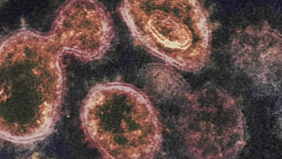COVID-19 cases in Houston increase as virus continue mutating