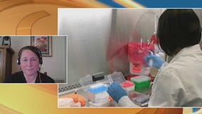 Should people still get their COVID-19 boosters?