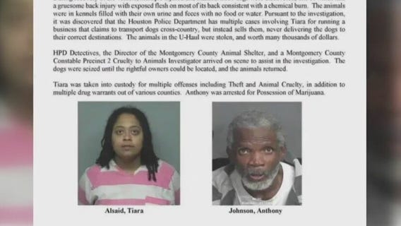 2 arrested after malnourished, abused dogs found inside stolen U-Haul in Montgomery County