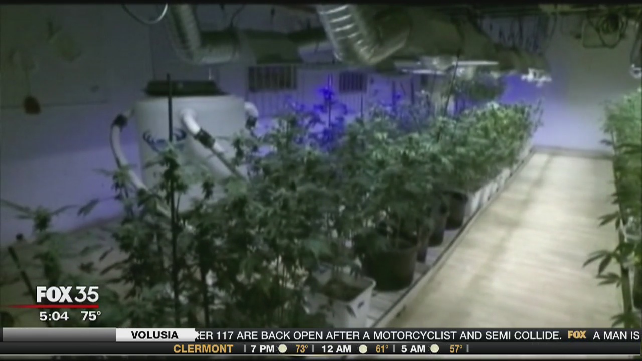 Medical marijuana bill heading to Florida Governor