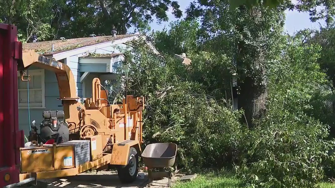 Lightning strikes tree, then falls on Houston home