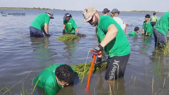 Annual 'Marsh Mania' event takes place in Galveston