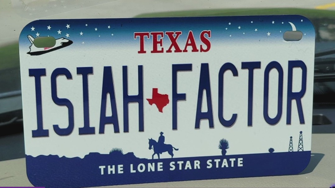 Decorative license plate warning