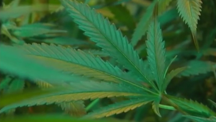 President Biden issues nationwide pardons for simple marijuana possession