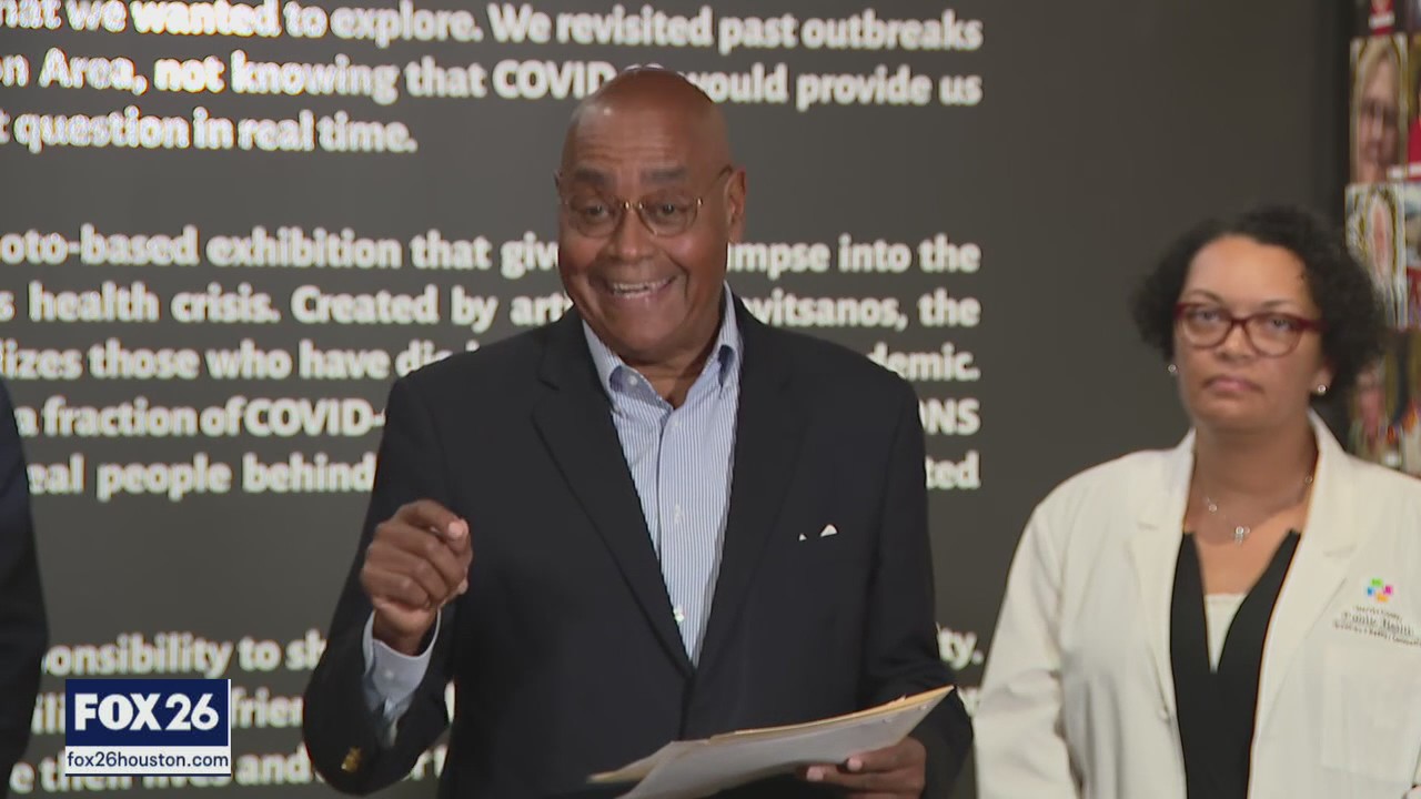 Winners and Losers in Harris County