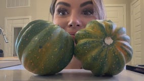 FOX Family Feast: Stuffed Acorn Squash Rings