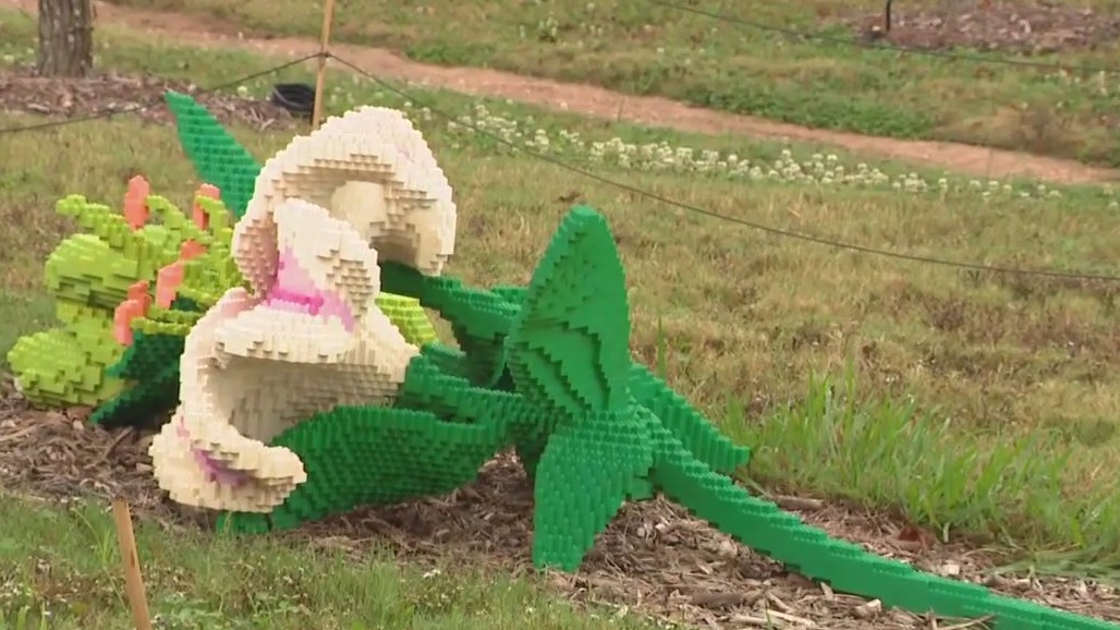 ?Nature Connects? LEGO exhibit at the Houston Botanic Garden