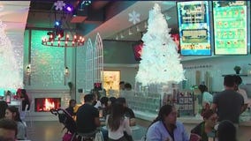 Looking for a place to celebrate the holidays this weekend? Check out Pop Fancy