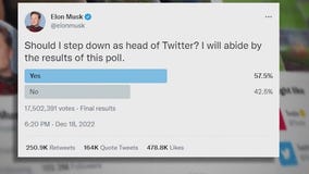 Elon Musk?s Twitter poll: Users say he should step down as CEO