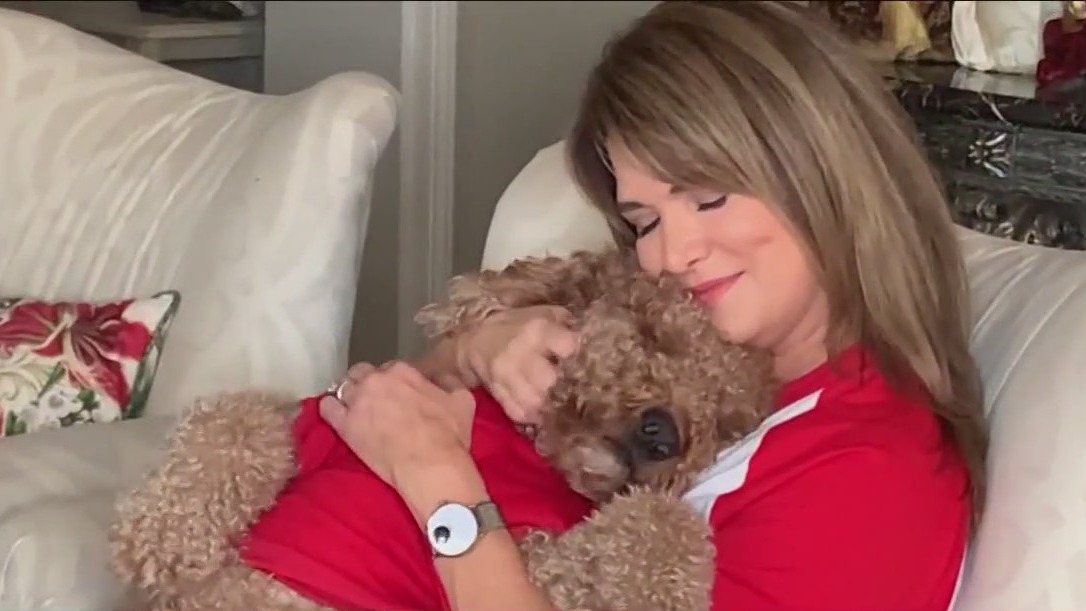 FOX 26 Pet Parde: Meet "Benson"