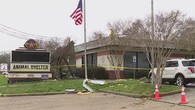 Pasadena Animal Shelter still in need of help nearly a week after devastating tornado