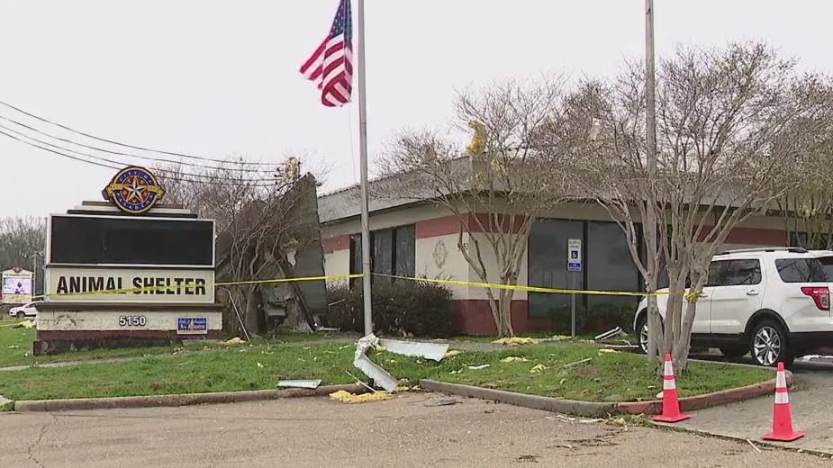 Pasadena Animal Shelter still in need of help nearly a week after devastating tornado