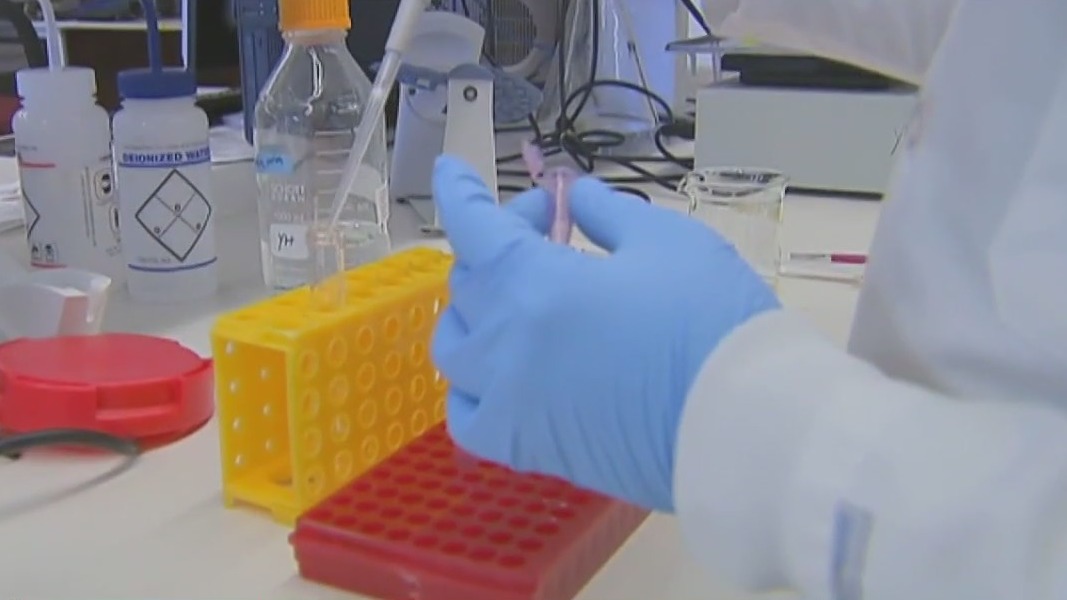 Researchers are closer to creating birth control for men