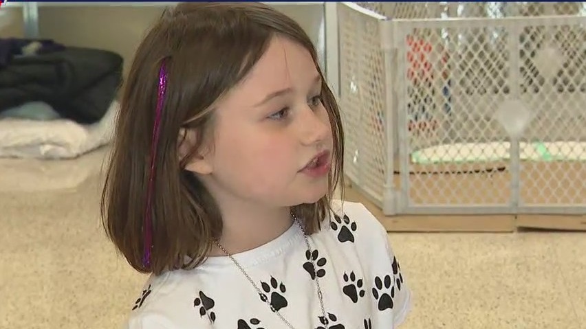 7-year-old girl donates $7 to Pasadena Animal Shelter damaged by tornado, others support her donation