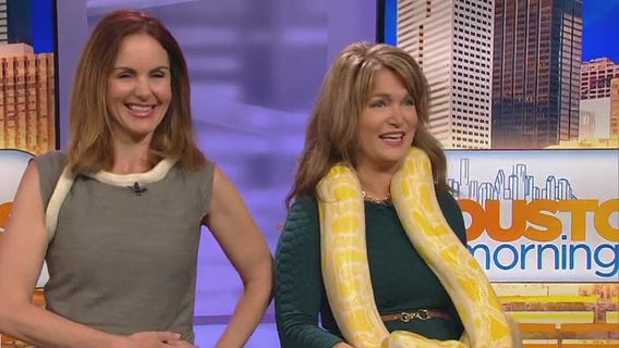 Why do pythons squeeze? What to know about these snakes