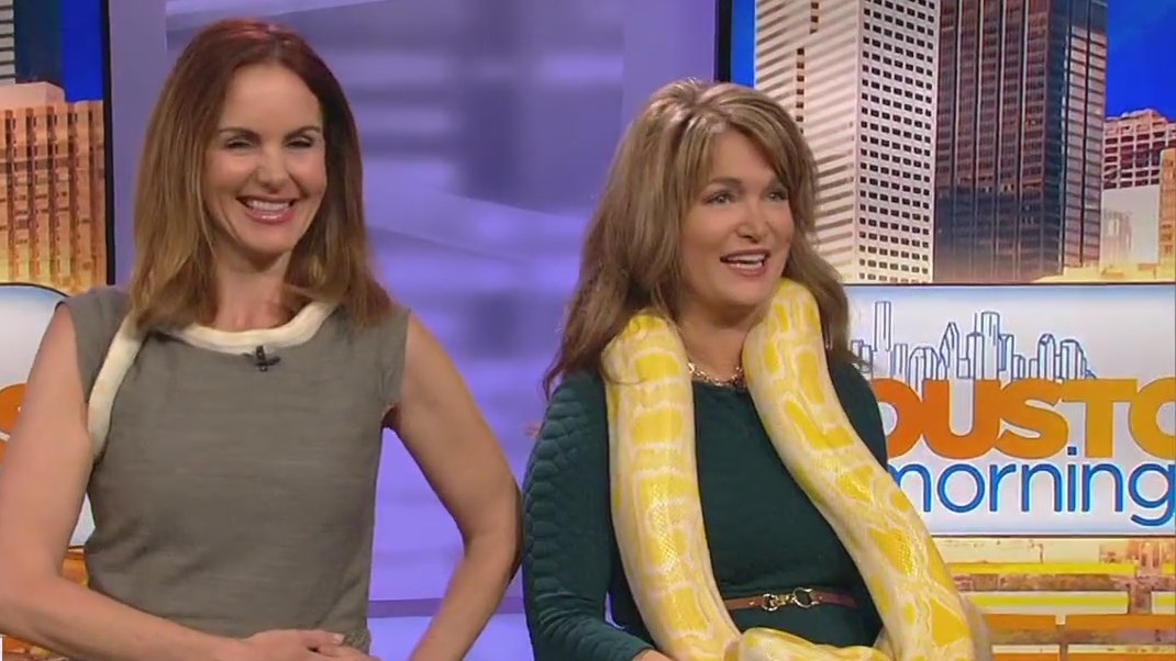 Why do pythons squeeze? What to know about these snakes