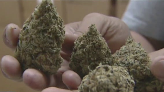 New poll shows Texans support legal marijuana