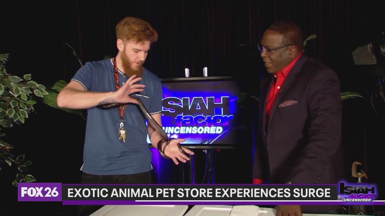 Exotic animal stores in Houston experiencing surge