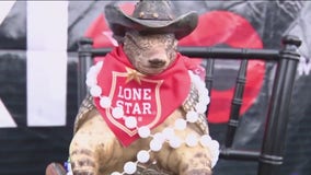 International Tents at the Houston Rodeo