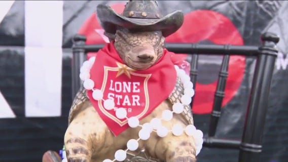 International Tents at the Houston Rodeo