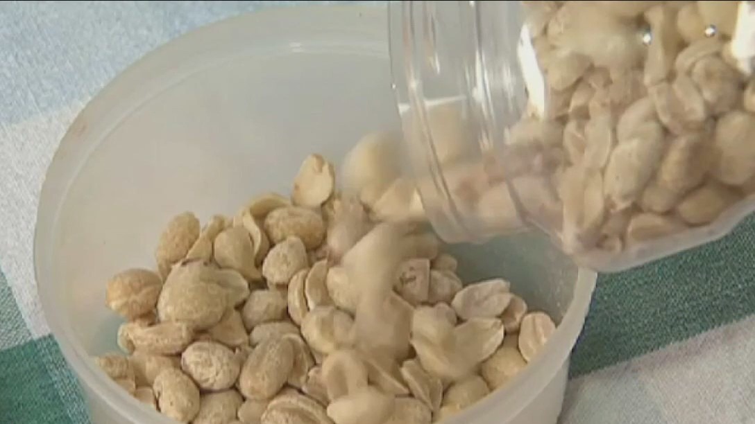 New research could potentially end peanut allergies