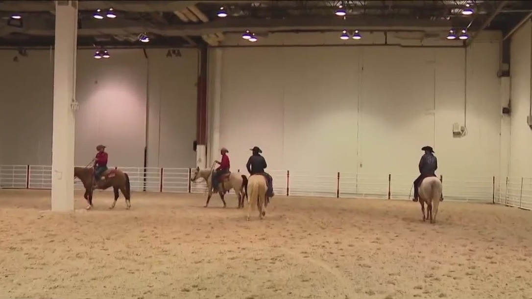 Ranch Rodeo competitions at Houston Livestock Show and Rodeo