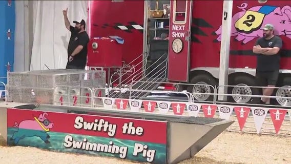 Houston Rodeo 2023: Pig races at NRG Stadium
