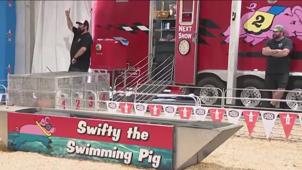Houston Rodeo 2023: Pig races at NRG Stadium