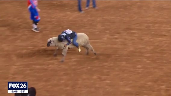 Landon Geason wins Monday night's Mutton Bustin' competition at Houston Rodeo