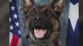 Local artist remembering Baytown K-9 Officer 'Lenin'