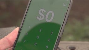 Business owners say woman hacked their phones to steal money