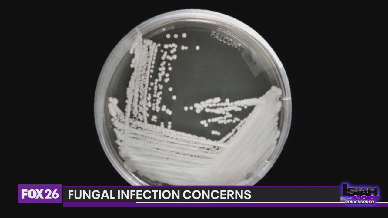 CDC expresses concern over dangerous fungus