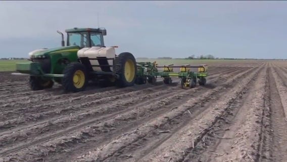 Texas farmers replanting fields for first time since 2022 drought destroyed crops