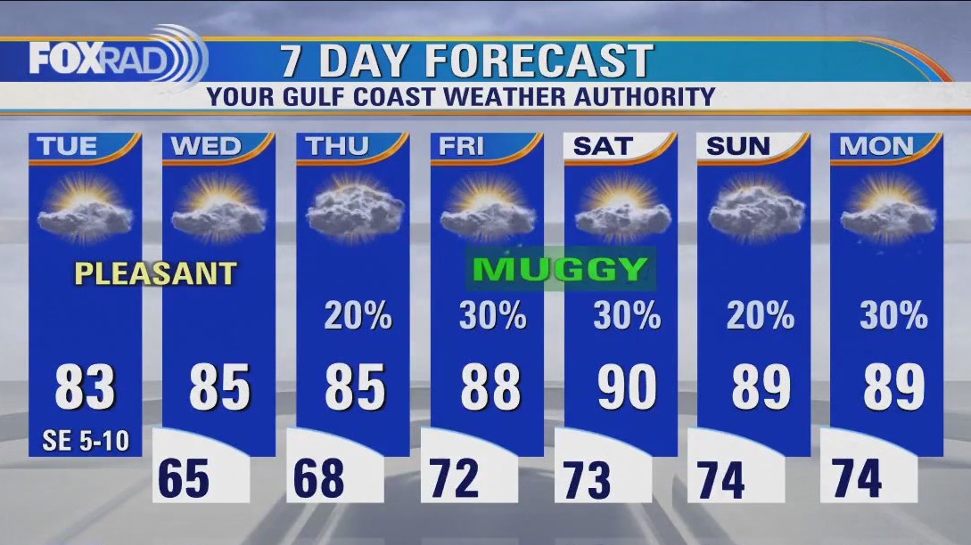 Houston weather: Dense morning fog; pleasant Tuesday