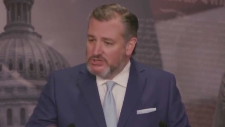 Ted Cruz has a competitor in the U.S. Senate race