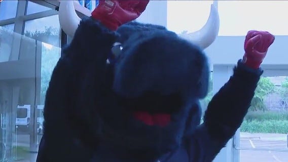 Go vote for Toro for the Mascot Hall of Fame