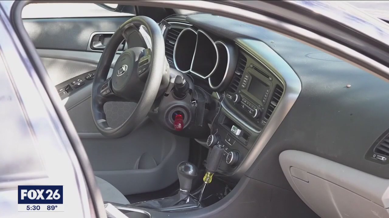 What were the top stolen vehicles in Houston?