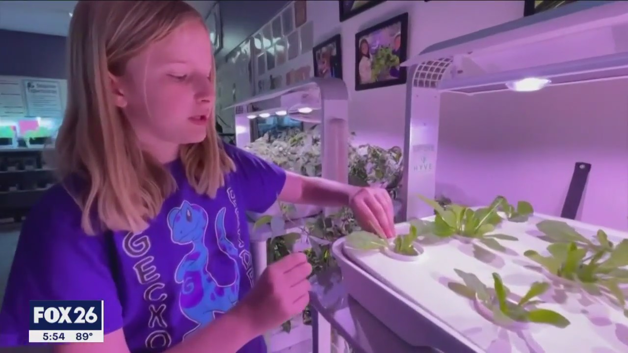 Gender gap: Increasing the number of women in STEM