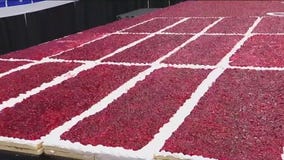Pasadena celebrates Strawberry Festival with largest strawberry shortcake in US