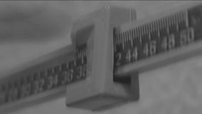 The link between Mental Health and Eating Disorders