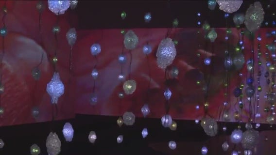 Pipilotti Rist: Pixel Forest and Worry Will Vanish at MFAH