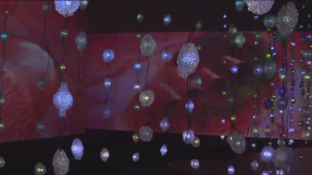 Pipilotti Rist: Pixel Forest and Worry Will Vanish at MFAH