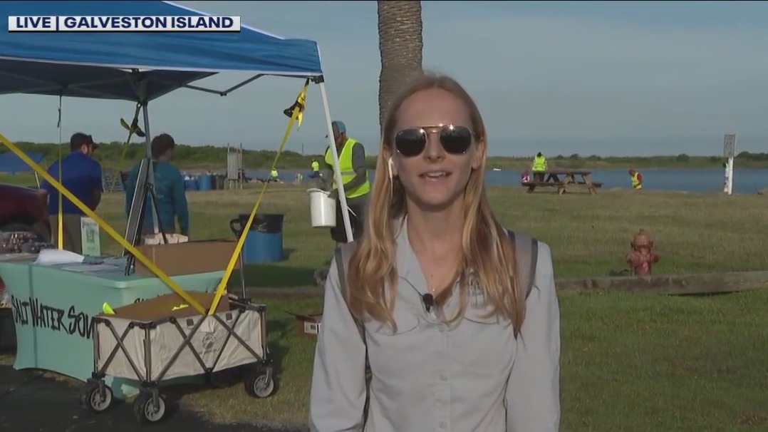 Clean-up efforts underway on Galveston Island to help marine life
