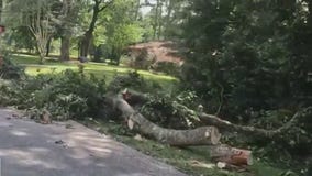 Cypress residents still recovering days after powerful storm leaves damaging trail