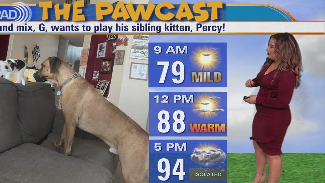 Houston weather: Severe thunderstorms expected for Saturday