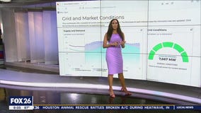 Monitoring the Texas power grid on ERCOT website