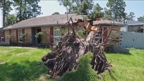 Tree crashes into Spring home after storms